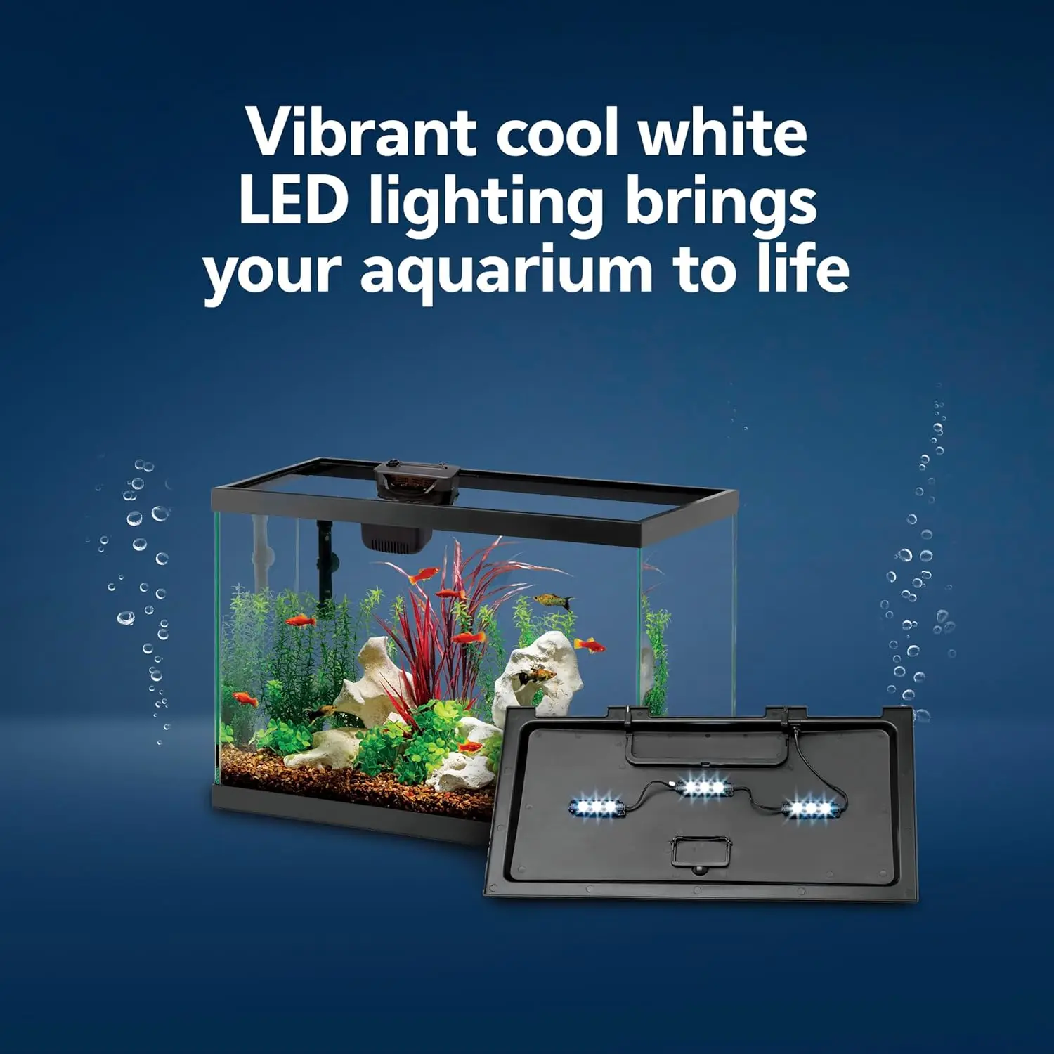 ชุดเริ่มต้นตู้ปลาพร้อมระบบกรอง - Tetra Fish In Aquarium บทวิจารณ์และราคา