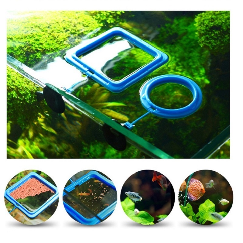 เครื่องให้อาหารปลาอุปกรณ์ตกปลา - Tetra Fish In Aquarium บทวิจารณ์และราคา
