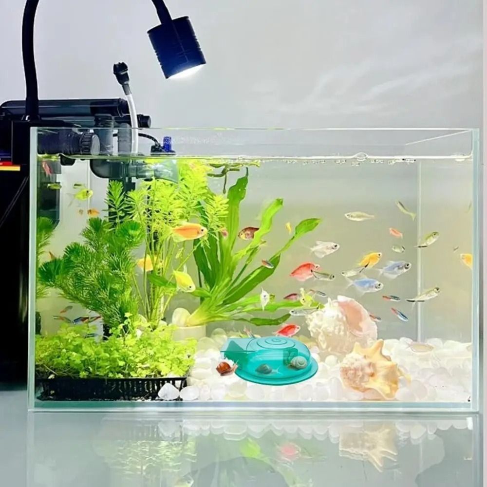 กับดักหอยทากสำหรับตู้ปลา น้ำจื - Aquarium Fish Trap บทวิจารณ์และราคา