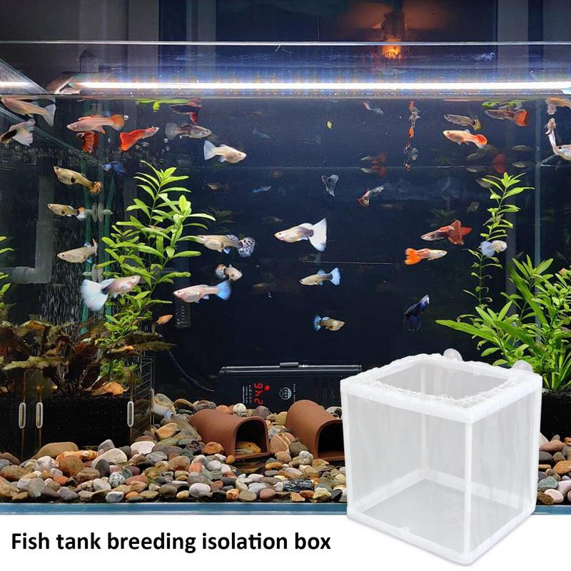 Fish Breeder กล่องดูด,Aquarium - Aquarium Fish Trap บทวิจารณ์และราคา