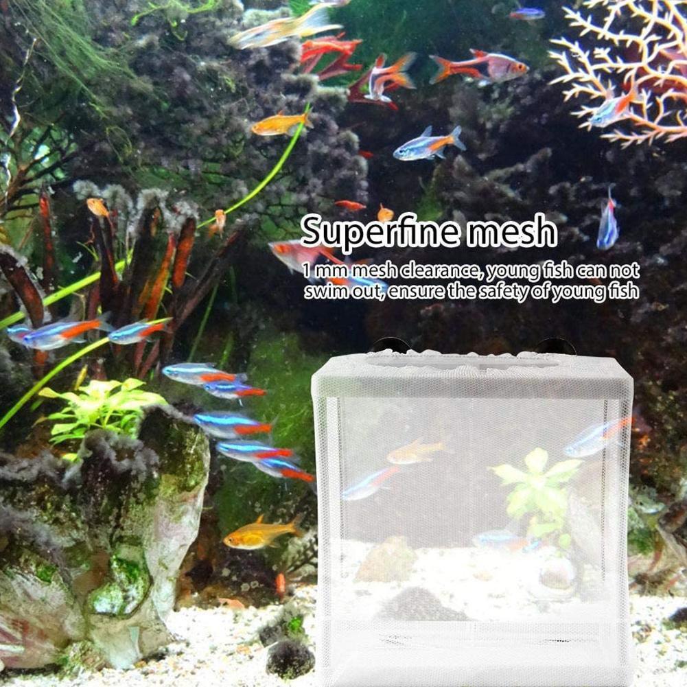 กล่องแยกพันธุ์สำหรับตู้ปลา, กา - Aquarium Fish Trap บทวิจารณ์และราคา