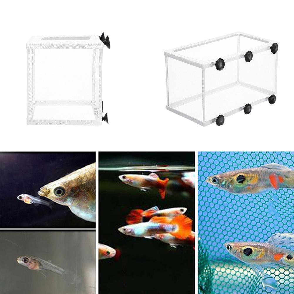 กล่องแยกพันธุ์สำหรับตู้ปลา, กา - Aquarium Fish Trap บทวิจารณ์และราคา