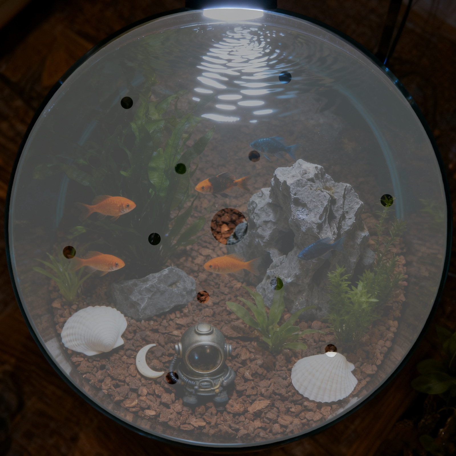 ฝาครอบตู้ปลาอะคริลิกรูปทรงกลมข - Aquarium Fish Escape บทวิจารณ์และราคา